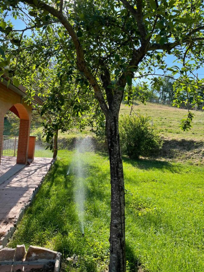 Luxury Villa Arianna Tarano Exterior foto